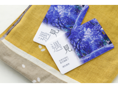 SCD200_P 翻轉(zhuǎn)式名片碟-塑膠（COB Card style USB Flash Drive）