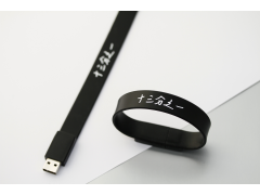  FB100 手環(huán)隨身碟（Bracelet style USB Flash Drive）