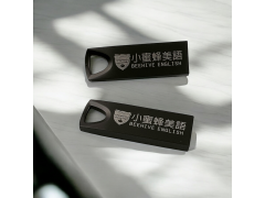 BT500 COB黑鎳．白鎳碟（Metal Fashion COB USB Flash Drive）